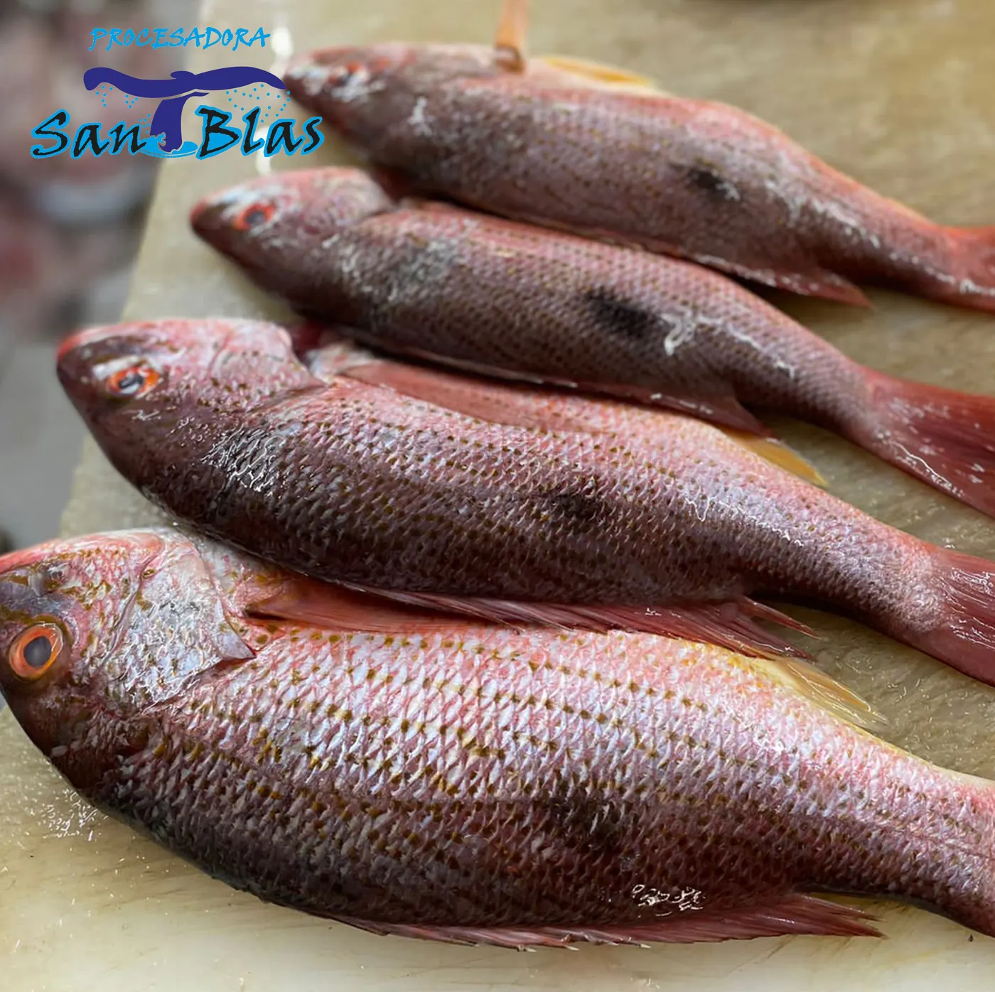 Pescado entero